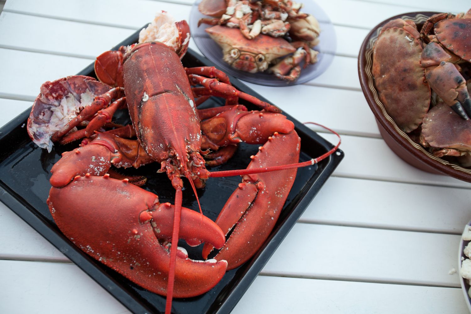 Fresh Lobster Dinners